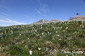 VBS_8691