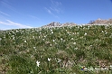 VBS_8692