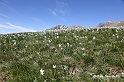 VBS_8693