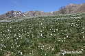VBS_8694