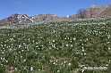 VBS_8695
