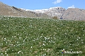 VBS_8696