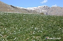 VBS_8697