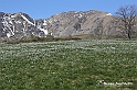 VBS_8699