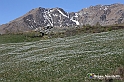 VBS_8706