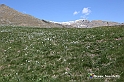 VBS_8710