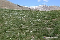 VBS_8712