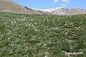 VBS_8713