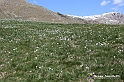 VBS_8715