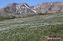 VBS_8716