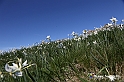 VBS_8720