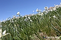 VBS_8722