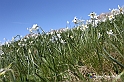 VBS_8723
