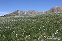 VBS_8725