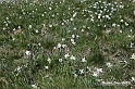 VBS_8726