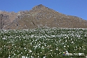 VBS_8730
