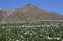 VBS_8731