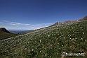 VBS_8732