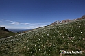 VBS_8733
