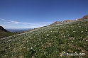 VBS_8735