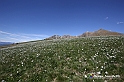 VBS_8736