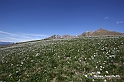 VBS_8737