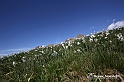 VBS_8738