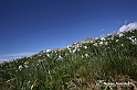 VBS_8739