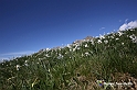 VBS_8740