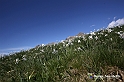 VBS_8741