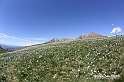 VBS_8742
