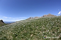 VBS_8745