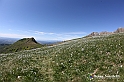 VBS_8746
