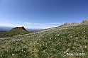 VBS_8747