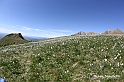 VBS_8749