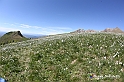 VBS_8750