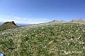 VBS_8751