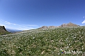 VBS_8752