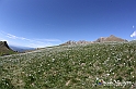 VBS_8753