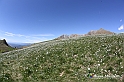 VBS_8757