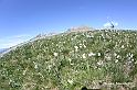 VBS_8758