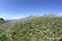VBS_8759