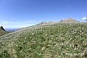 VBS_8761