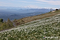 VBS_8762