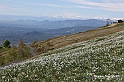 VBS_8763