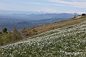 VBS_8764