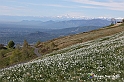 VBS_8765