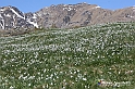VBS_8768
