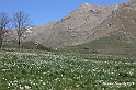 VBS_8769