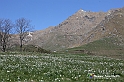 VBS_8770